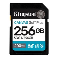 Kingston 金士頓 Canvas Go Plus SDXC記憶卡 SDG4/256GB, 256GB, 1個