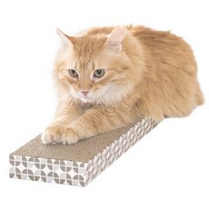 다금이네 베이지 평판 스크래쳐, 혼합 색상, 1개