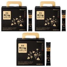 광동 흑마늘 쌍화스틱 50포, 500ml, 3개
