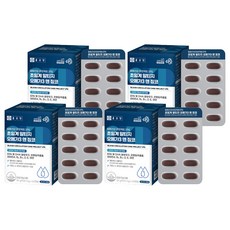 종근당 혈행 건강프로젝트365 초임계 알티지 오메가3 앤 징코, 60정, 4개