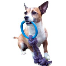 Beco Pets Odd Pet Biko 環形玩具 S, 藍色, 1個