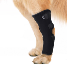 DogLemi DM 寵物繃帶包裹 XL, 55克, 1個