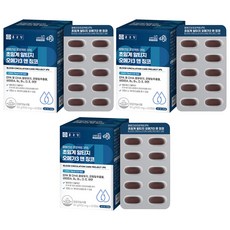 종근당 혈행 건강프로젝트365 초임계 알티지 오메가3 앤 징코, 60정, 3개