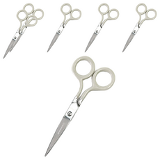 HIGHTIDE penco 不鏽鋼剪刀 S, 白色, 6支