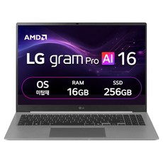 LG전자 2026 그램 AI 16 라이젠 AI 400 시리즈 방문설치, 에어로미늄 실버, 256GB, 16GB, Free DOS, 16ZD95U-GX5BK