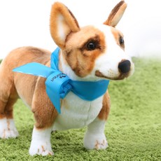 피카노리 반려동물용 아이스 쿨 머플러, PECA6101 블루, 1개