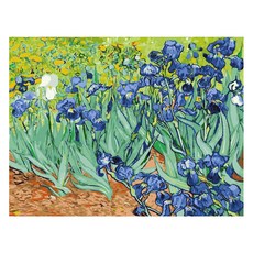 모모픽스페인팅 DIY 명화 그리기 60 x 75 cm, WP07 고흐 붓꽃, 1개