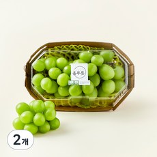 올푸릇 저탄소 샤인머스캣, 650g, 2개