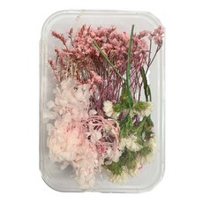 A-ONE 匯旺乾燥花 A09 3盒 天然乾燥花盒 17 x 11.5 x 3.3 CM, 粉白黛綠