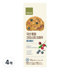 올가홀푸드 통밀 크리스피 크래커 베리베리, 120g, 4개