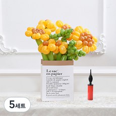 피앤비유니티 DIY꽃풍선선물 10p + 풍선펌프 + 종이봉투 세트, 04 유칼립 + 해바라기, 5세트