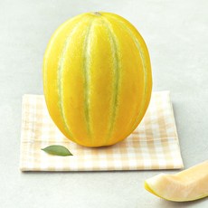 곰곰 고당도 신의한수 멜론, 1.5kg, 1개