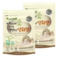 내아이애 유기농 정성빚은 쌀튀밥 과자, 쌀, 50g, 2개