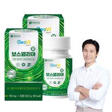 네이처드림 베오비 보스웰리아정 22.5g, 30정, 2개