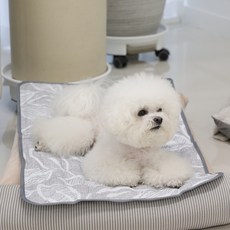 마이또 반려동물 쿨매트, 포울리지, 1개