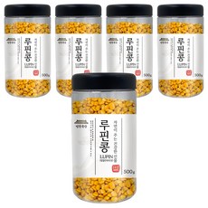 건강곡간 루핀콩, 500g, 5개
