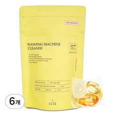 청정생활 캡슐 세탁조 클리너 6p, 90g, 6개