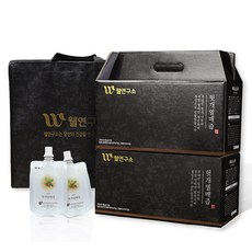 웰연구소 헛개열매즙 + 가방 세트, 100ml, 60개