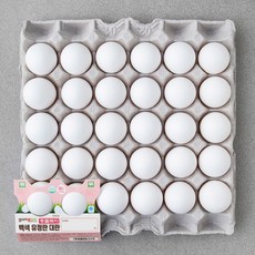 곰곰 동물복지 백색 유정란 대란, 30구, 1세트