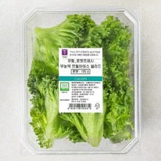 팜에이트 무농약 인증 프릴아이스 샐러드, 130g, 1개