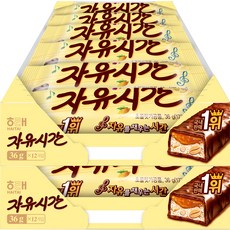 해태제과 자유시간 리얼초코, 36g, 24개