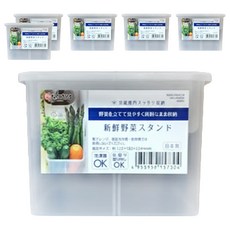 NAKAYA 進口冰箱收納盒 桌面收納 小物儲物盒, 透明色, 6個