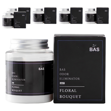 BAS 탈취제 미니 플러스 차량용 방향제, 6개