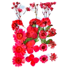 A-ONE 匯旺 真花壓花 2個 Set 產品尺寸 14.5 x 10.5 CM, 紅粉知己