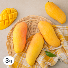 맛젤 태국산 마하차녹 망고 4입, 1.3kg, 3개