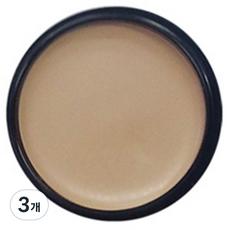 애리조 카마플레이지 크림 13g, No3 크림, 3개
