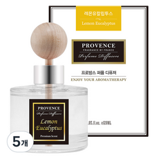 더허브샵 프로방스 퍼퓸 차량용 디퓨저 120ml, 레몬유칼립투스, 5개