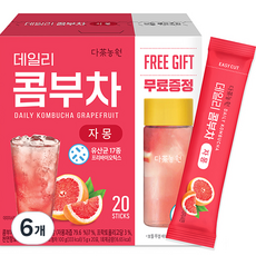 다농원 데일리 콤부차 자몽, 6개, 20개입, 5g
