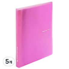 드림산업 칼라 화일, 5개, 분홍색