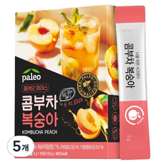 팔레오 콤부차 복숭아, 5g, 30개입, 5개