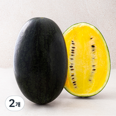 당도선별 망고수박, 3kg 미만, 2개