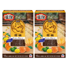 온포 탄산입욕제 시트러스유자 12p, 2개, 480g