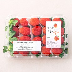 엄마는 농부 김제 죽향딸기, 500g, 1개