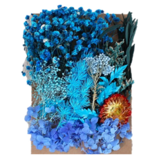 A-ONE 匯旺 乾燥花 Set 3個 天然乾燥花盒 17 x 11.5 x 3.3 CM, 藍色魅影