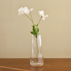 anplant 水滴玻璃花瓶, 透明