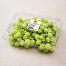 PSK 호주 오톰크리스피 청포도, 1.2kg, 1개