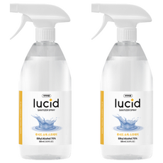 디볼베르 루시드 손소독제 스프레이 에탄올, 500ml, 2개