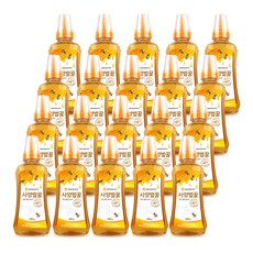 대웅 사양벌꿀, 500g, 20개