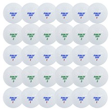 DDH A+級高爾夫回收球, 1入, 白色, 30個