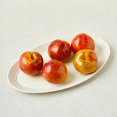 스타영천 자두(대), 1개, 800g(대)