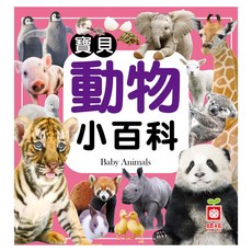 寶貝動物小百科 全新小百科 正方形, 精裝, 1本