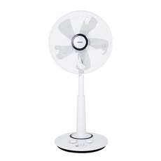 Raveni 立式電風扇 LM-F6017