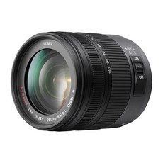 파나소닉 마이크로포서드 망원 줌렌즈, H-VS014140