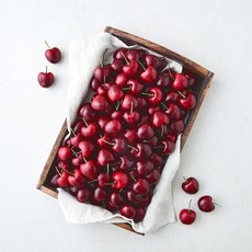 곰곰 칠레산 체리, 1개, 2.5kg