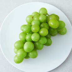 다조은 칠레산 씨없는 점보 청포도, 1개, 550g