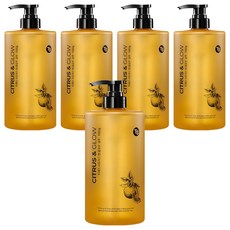 TS 시트러스 앤 글로우 샴푸, 1kg, 5개